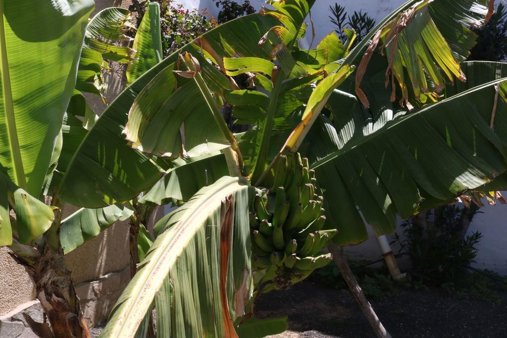 3C Fuerteventura Villa Коста Калма Екстериор снимка